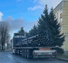 Инвестпайп, ООО
